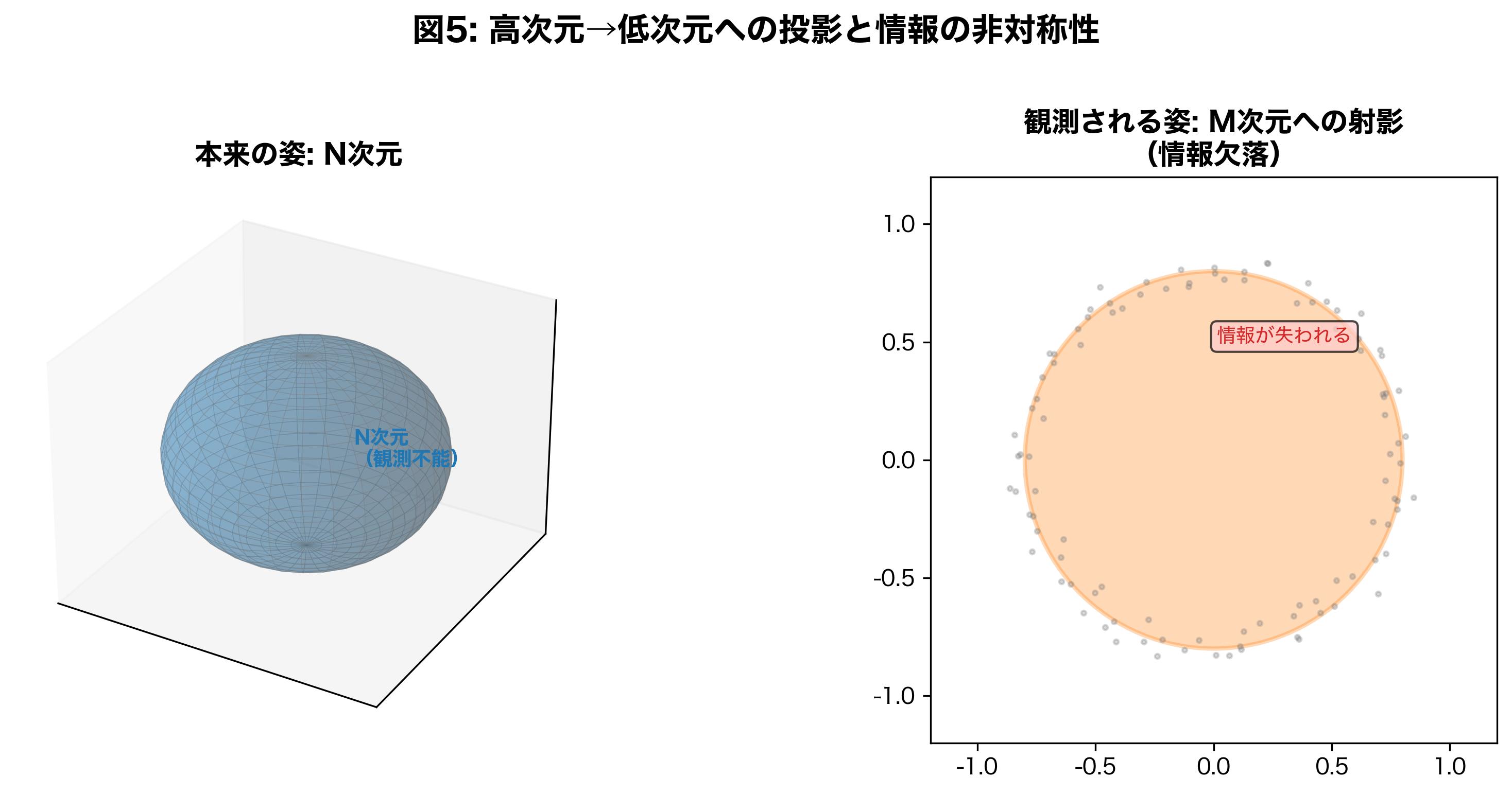 投影：高次元の物体を低次元で見ると情報が欠落する